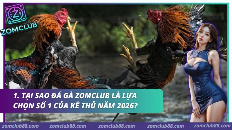 Hình ảnh Kinh Nghiem Da Ga Zomclub 1 trong bài viết Kinh Nghiệm Đá Gà Zomclub - Quan Sát Trận & Quản Lý Vốn 2026. Hai gà chọi giơ chân giao đấu trong ảnh kinh nghiệm đá gà Zomclub