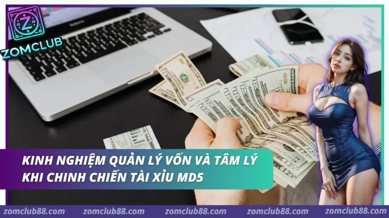 Hình ảnh Tai Xiu Md5 Zomclub 6 1 trong bài viết Tài Xỉu MD5 ZOMCLUB: Giải Mã Thuật Toán Và Bí Kíp Soi Cầu. Đếm tiền bên máy tính trong mục quản lý vốn Tài Xỉu MD5