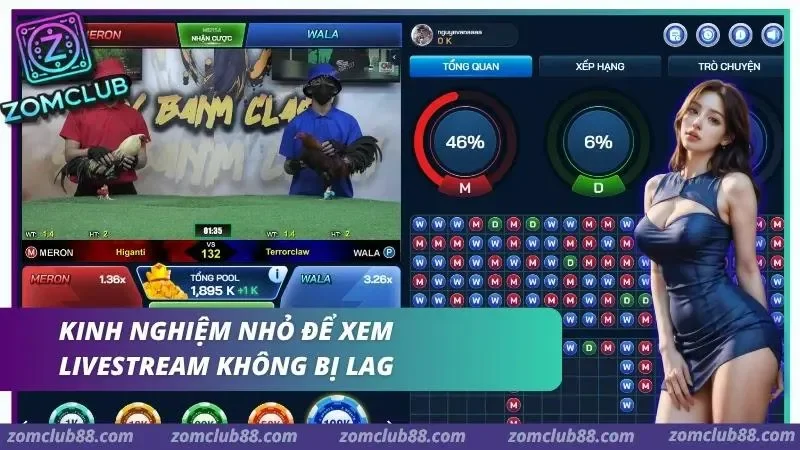 Hình ảnh Xem Da Ga Thomo Truc Tiep Zomclub 5 1 trong bài viết Xem Đá Gà Thomo Trực Tiếp ZomClub - Lịch & Cách Xem 2026. Video đá gà và bảng thống kê trong mục xem livestream Thomo ổn định